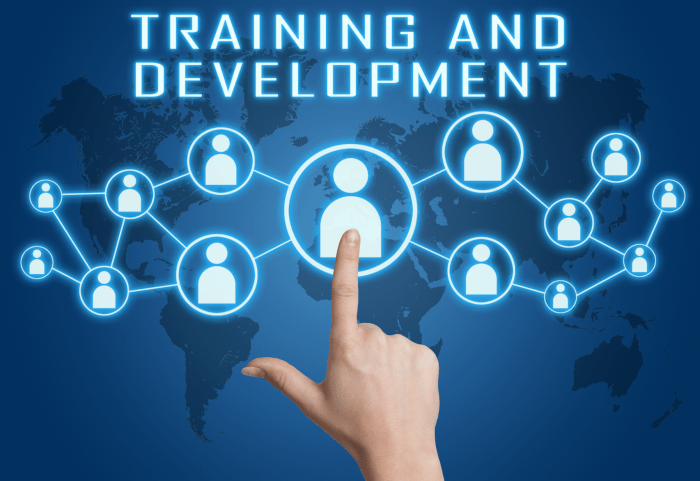 Training development program management plan hr slides human resources optimally company strategy